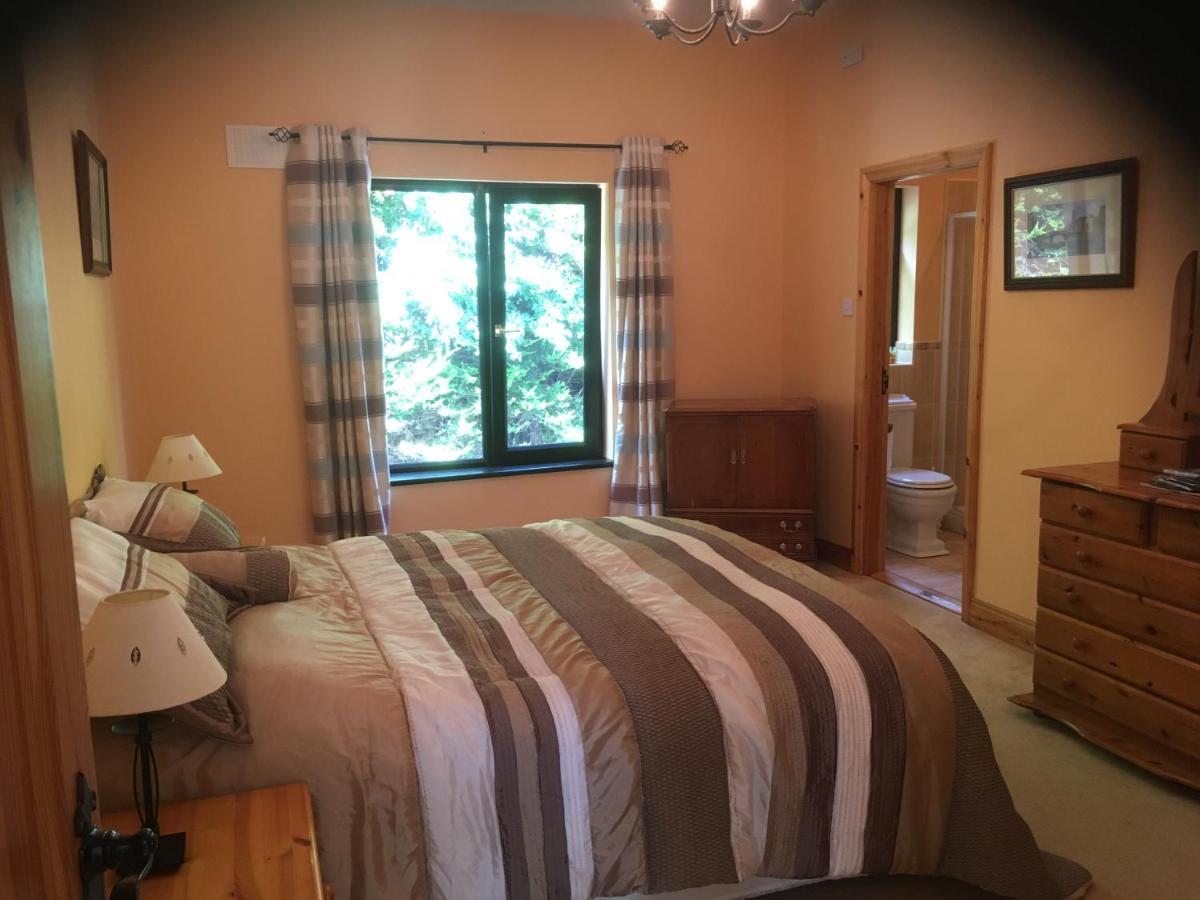Ocean View Bed & Breakfast Wexford Exterior photo