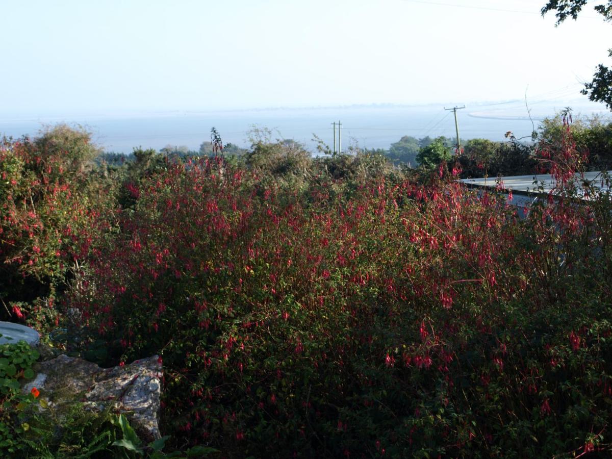 Ocean View Bed & Breakfast Wexford Exterior photo